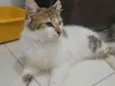.........