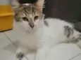 .........