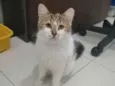 .........