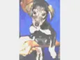 Sem nome