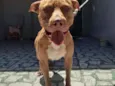 Duki