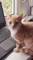 Tom