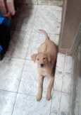 Mel