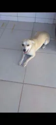 MEL