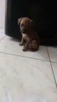 Beethoven