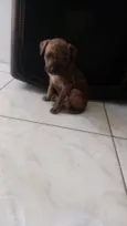Beethoven