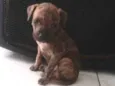 Beethoven