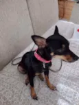 Nina