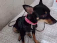 Nina