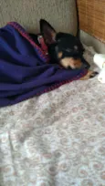 Nina