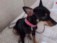Nina