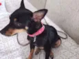 Nina