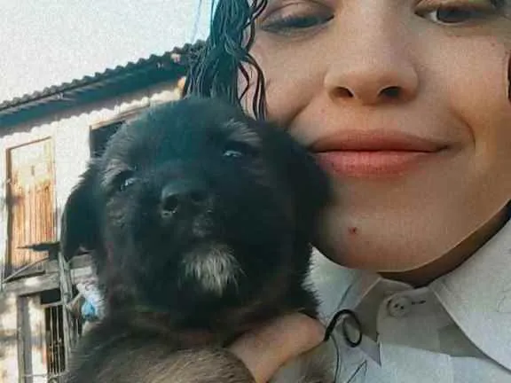 Cachorro ra a Viralata idade Abaixo de 2 meses nome Napoleão