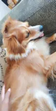 To
