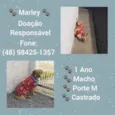 Não sei
