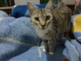 Nina