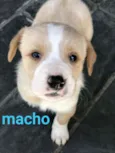 Sem nome ainda