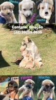 Sem nome ainda