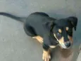 Boby