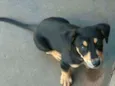 Boby