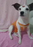 Maia 