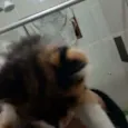 Não tem