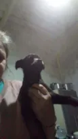 Cachorro raça Srd idade 2 a 6 meses nome Miguel