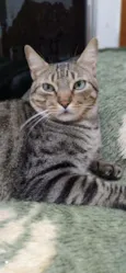 Tom