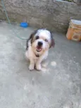 Théo