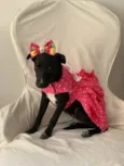Lola
