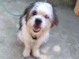 Théo
