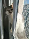 .........