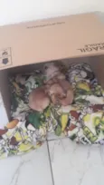 Não tem
