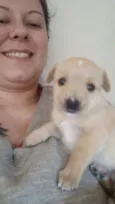 Não tem