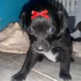 Julieta 