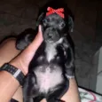 Julieta 