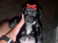 Julieta 