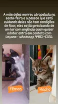 Estao sem nomes