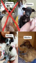 Sem nome