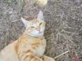 Tião