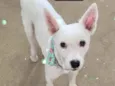 ZOE