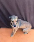 Princesa
