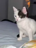 Sol