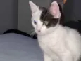 Sol