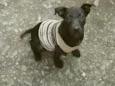 Clô