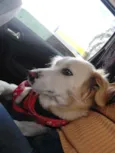 Mel
