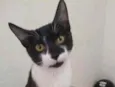 Miguel