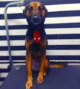Zeus