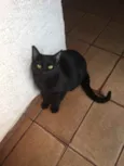 João
