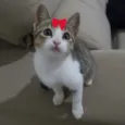 Tina 